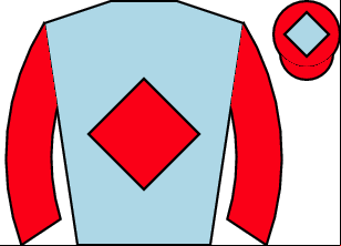 Horse silk