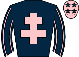 Horse silk