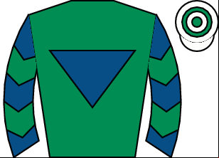 Horse silk