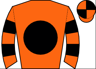 Horse silk