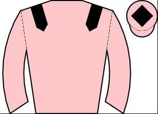Horse silk