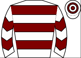Horse silk