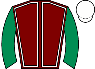Horse silk