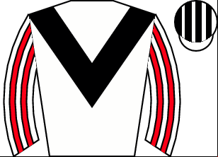 Horse silk