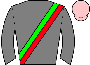 Horse silk