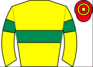 Horse silk