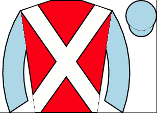 Horse silk