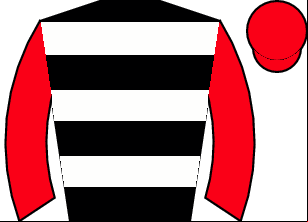 Horse silk