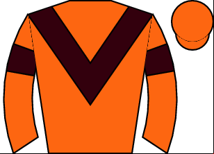 Horse silk