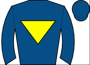 Horse silk