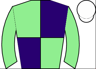 Horse silk