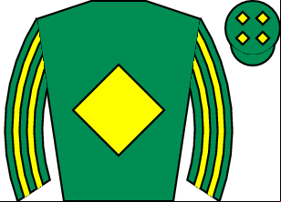 Horse silk
