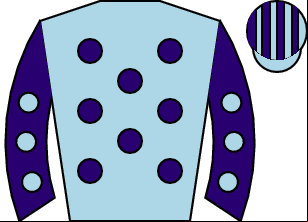 Horse silk