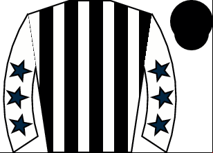 Horse silk