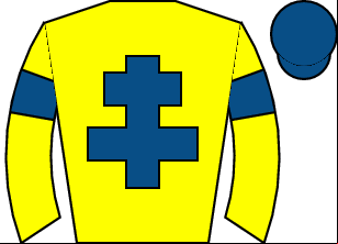 Horse silk