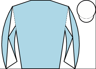 Horse silk