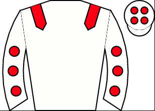 Horse silk
