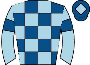 Horse silk