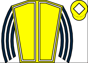 Horse silk