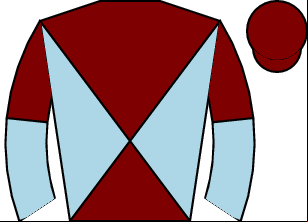 Horse silk