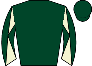Horse silk