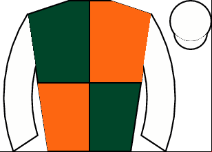 Horse silk