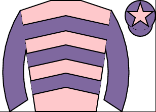Horse silk