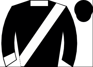 Horse silk