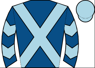 Horse silk