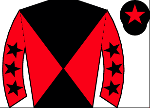 Horse silk