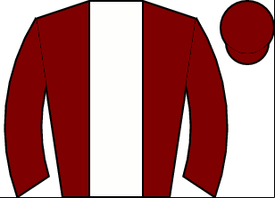 Horse silk