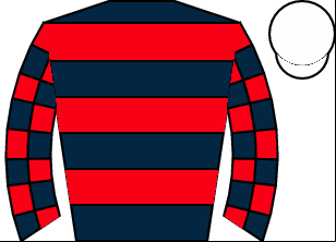 Horse silk