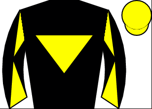 Horse silk