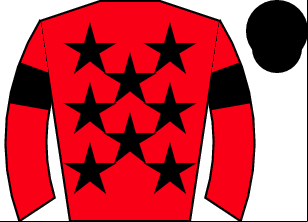 Horse silk