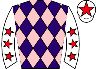 Horse silk