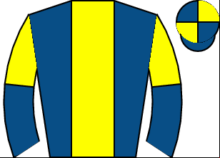 Horse silk