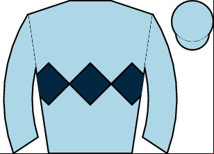 Horse silk