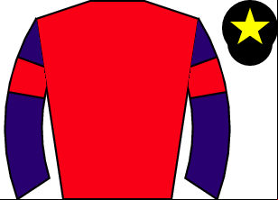 Horse silk