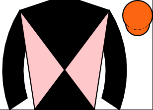 Horse silk