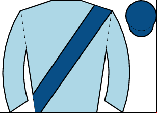 Horse silk