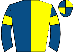 Horse silk