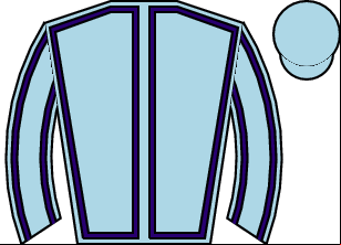 Horse silk