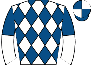 Horse silk