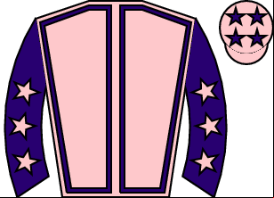 Horse silk