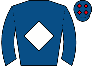 Horse silk