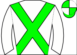 Horse silk