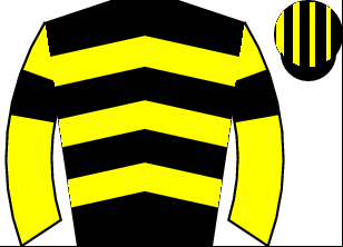 Horse silk