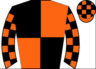 Horse silk