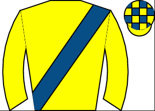 Horse silk