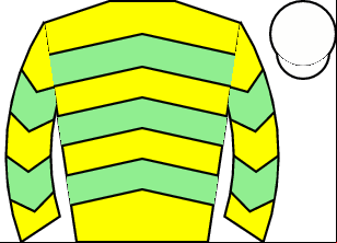 Horse silk